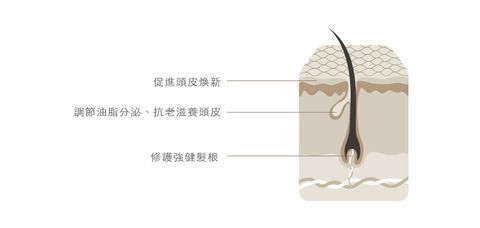 products_green-21-views-202105110828364235