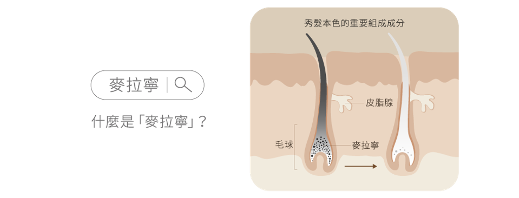 products_green-94-views-202205270927031188