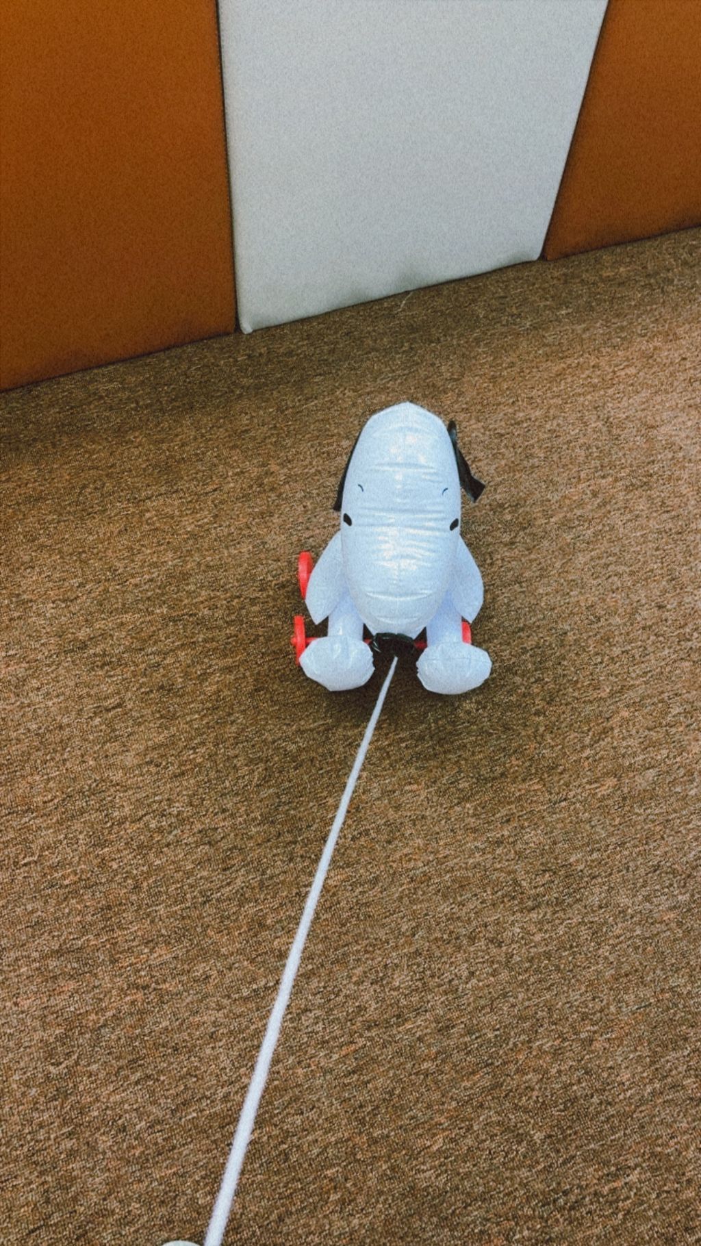 0B12BA4E-9482-4132-90E5-CBA316F82A08