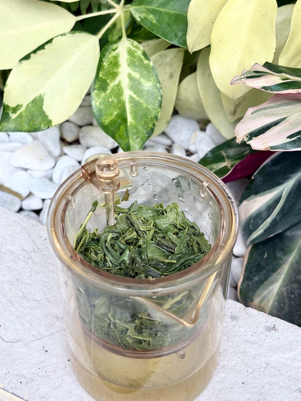 image_7B48D4DB-E6A6-4DF1-BC83-463BD7BF0D3D_1773908057