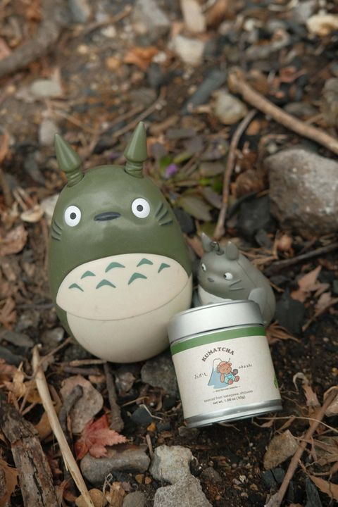 image_592E6A13-F437-4D99-80E4-CAB7C81E543F_1771569211