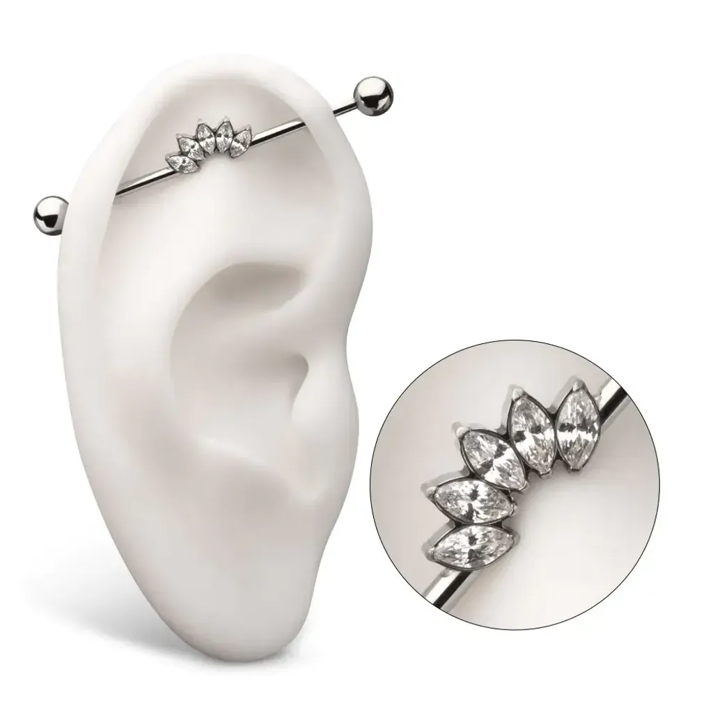 tibid11490c_ps