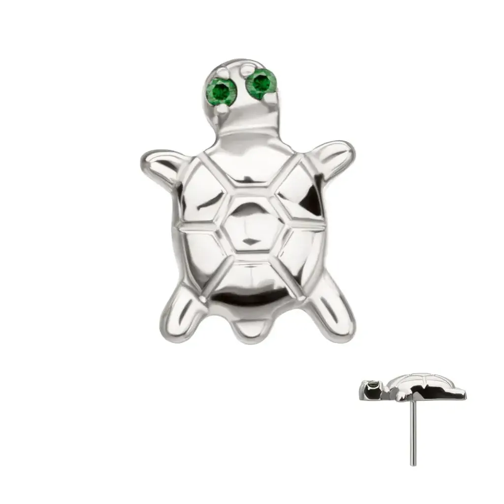 titlsntturtle-e