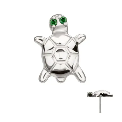 titlsntturtle-e