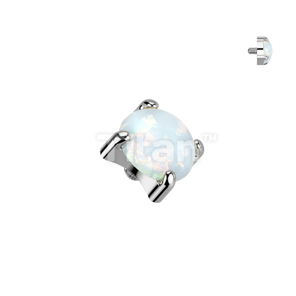 QBTY048-S17