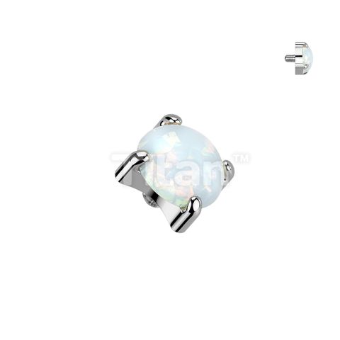 QBTY048-S17