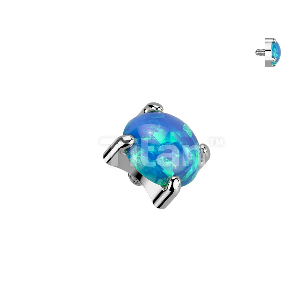 QBTY048-S05