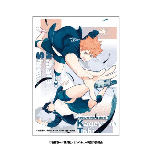 0310151953_69afb809c6c04