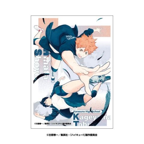 0310151953_69afb809c6c04