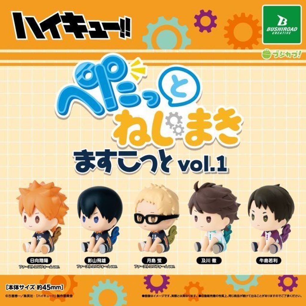 _box__6_haikyu_petatto_nejimak_1764489457_505005c6_progressive