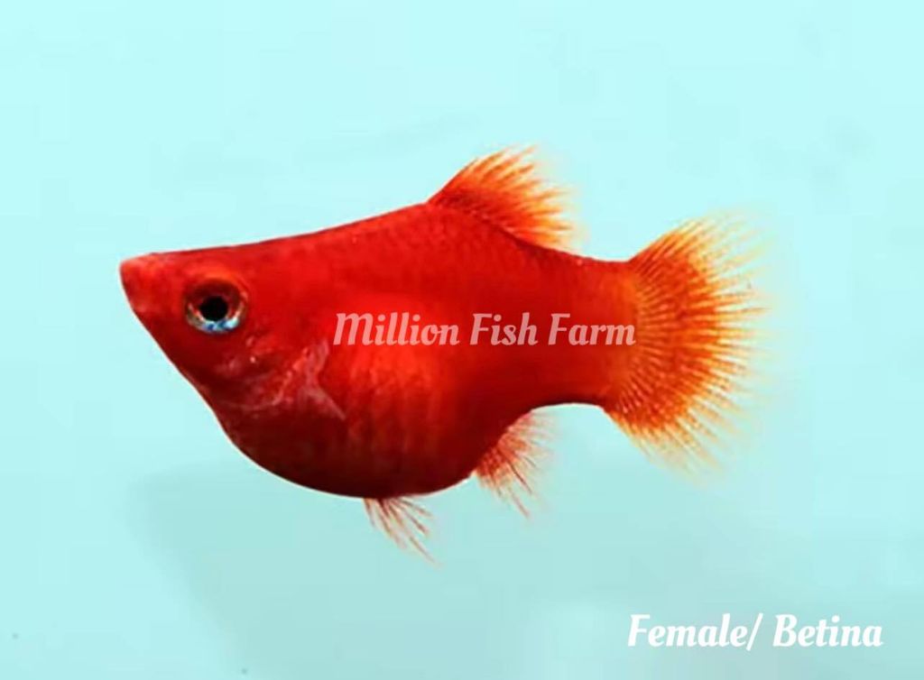 405378420_707147748012179_353309520509490167_n
