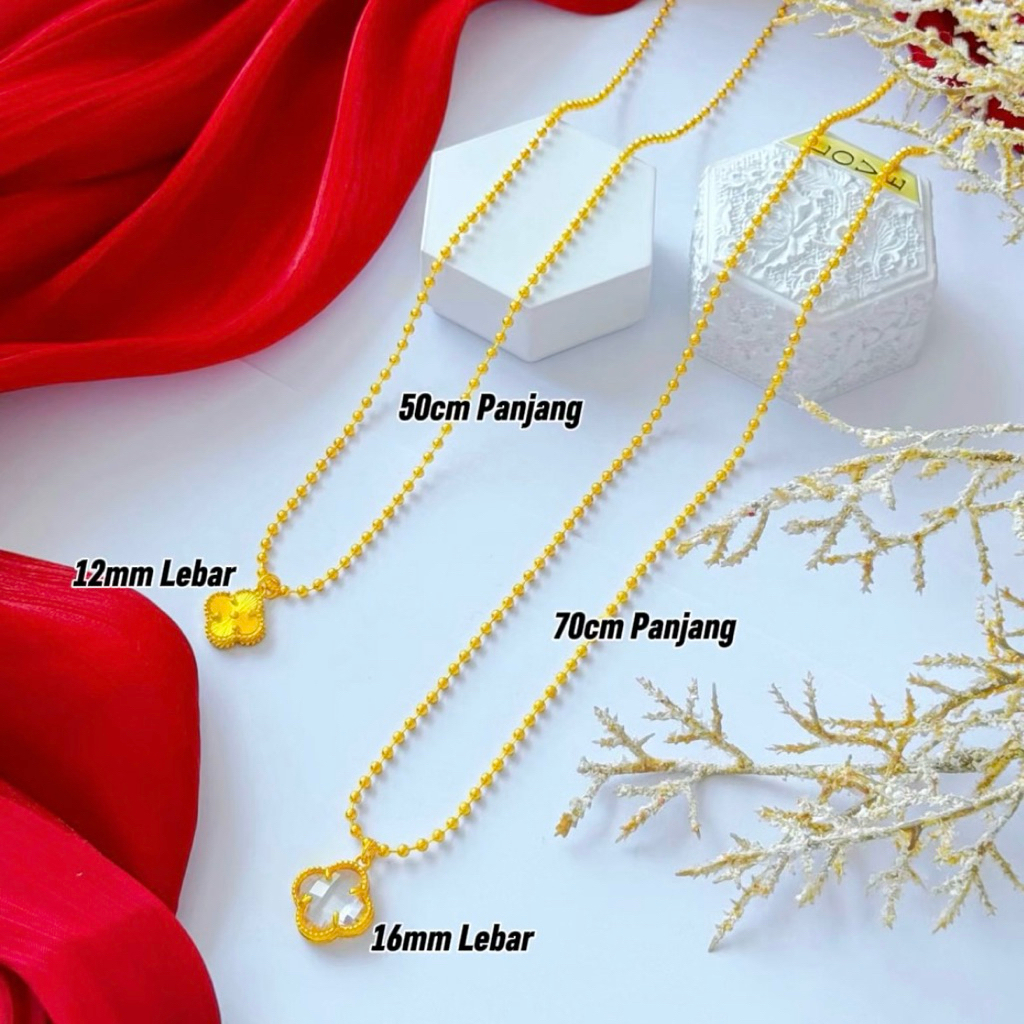 my-11134207-7rash-mdquqthj9msx86