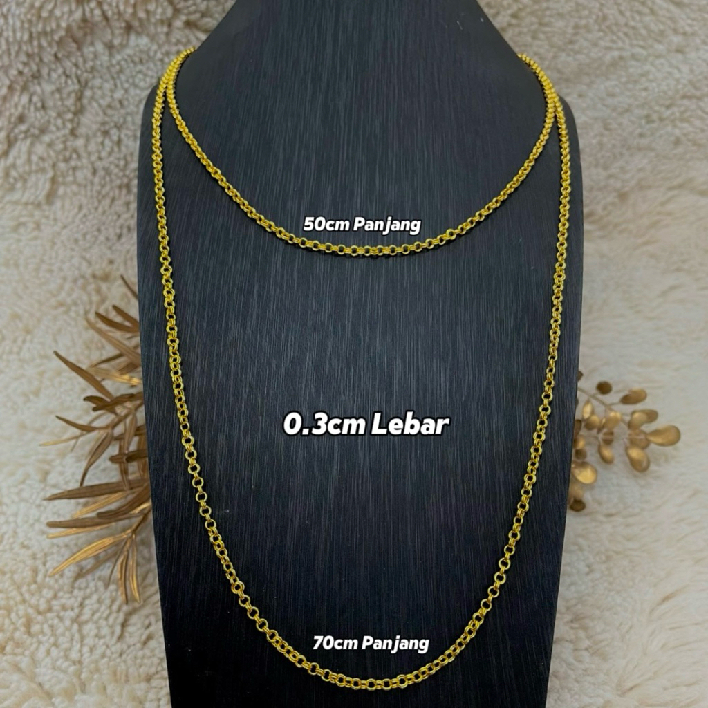 my-11134207-7rasc-mdv4jef343dl8d