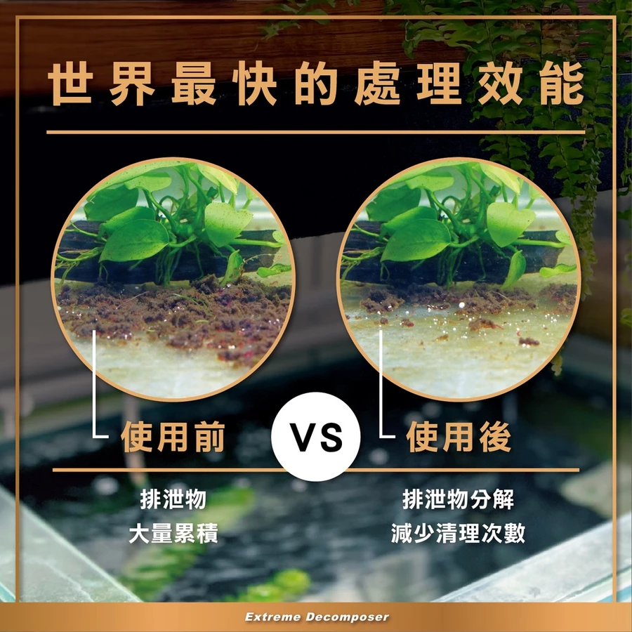 sg-11134201-22120-qwshalkavtkved@resize_w900_nl