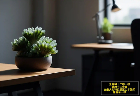 玉扇和十二卷一樣，屬於十二卷屬。-2048x1408