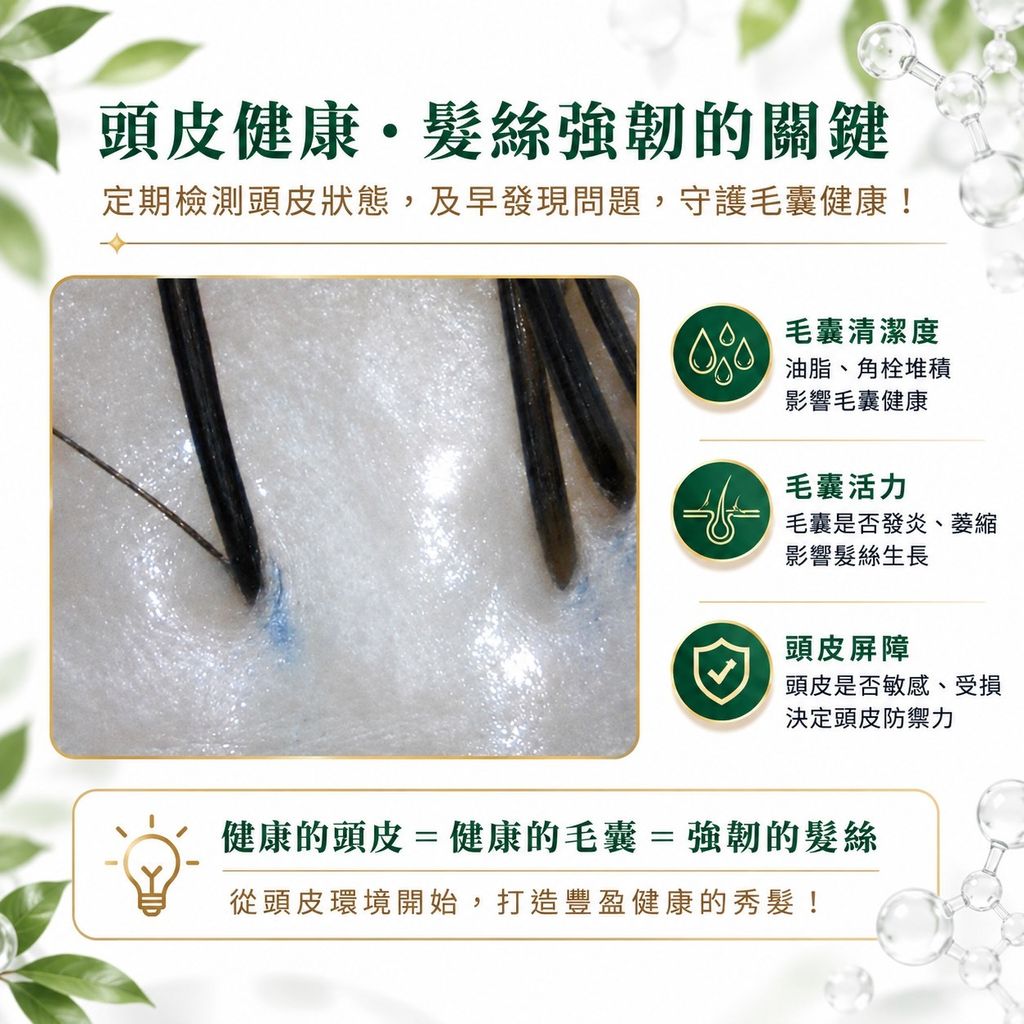 頭皮健康 • 髮絲強韌的關鍵