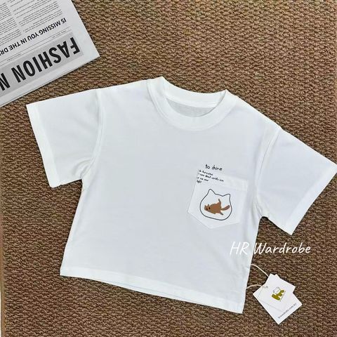 image_1E1CE1BC-AD49-4977-8A5D-C8B1071B57CF_1766317728