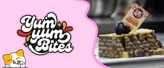  | Yum Yum Bites