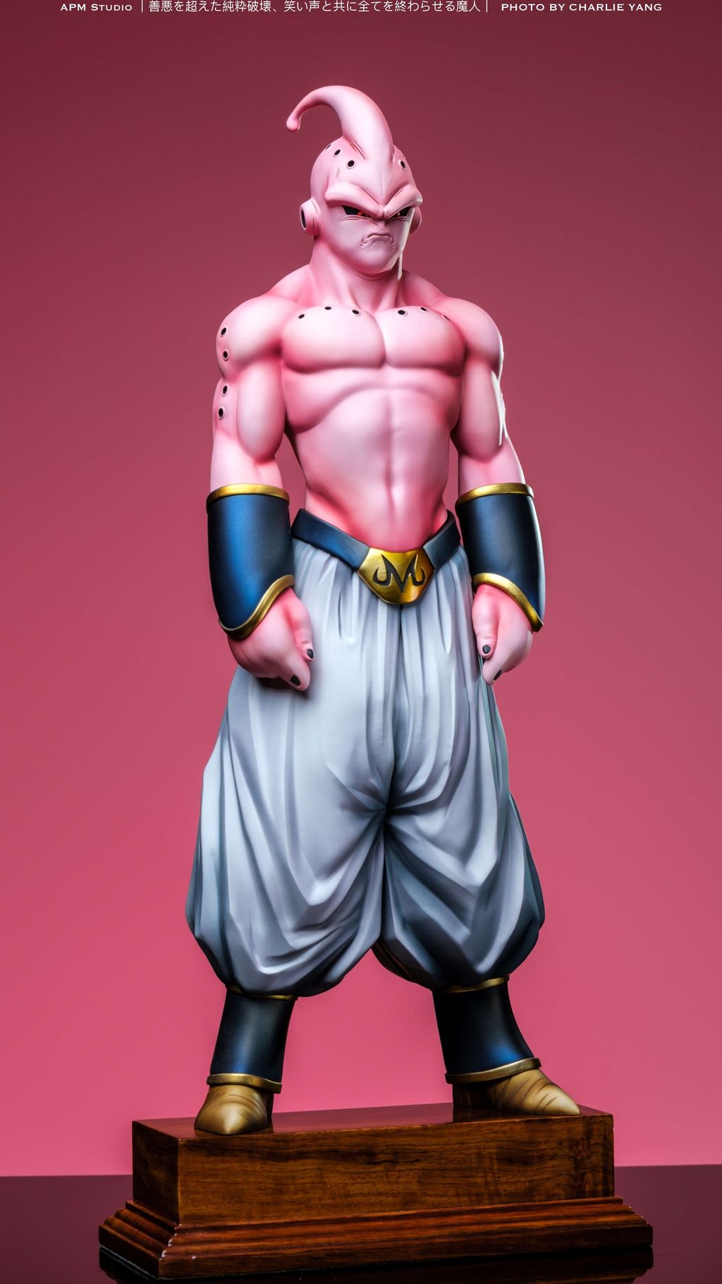 163293