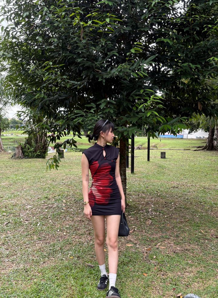 image_DD37820A-4B53-4D96-8C69-5ECC62213D8E_1767009784