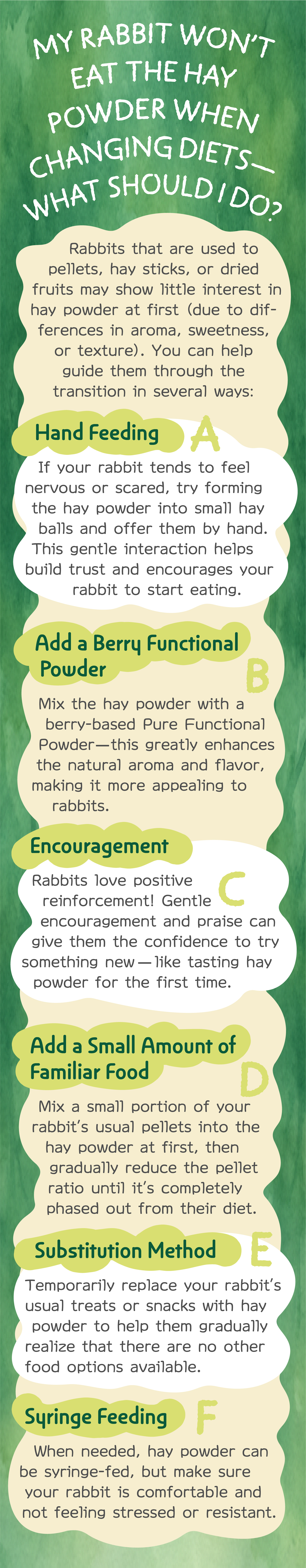 04轉換飲食時-en-251013