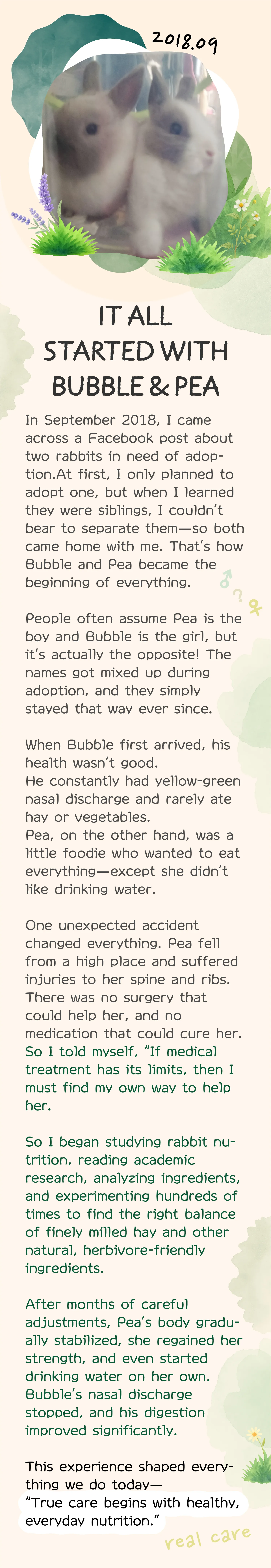 02一切從豆豆與泡泡開始-en-251023