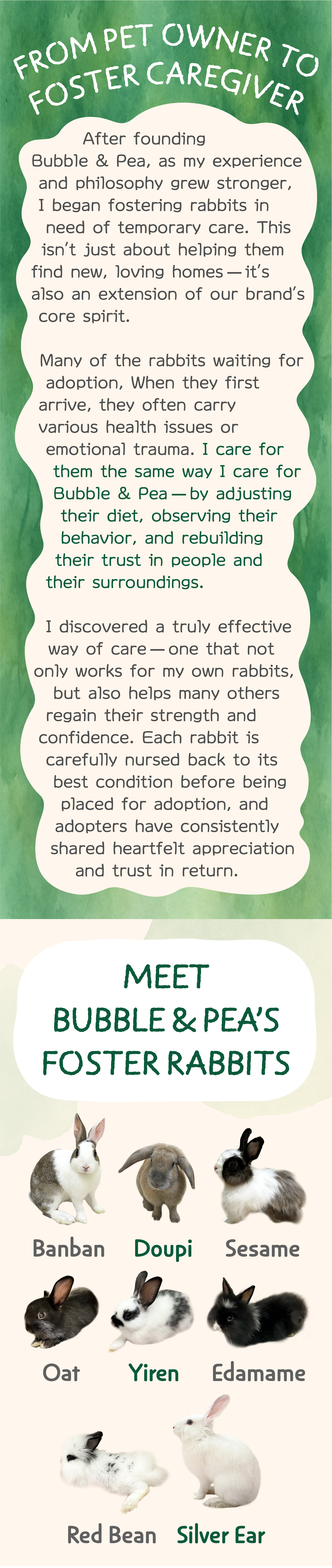 05從飼主到中途照護者-en-251024