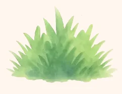 Watercolor illustration of a tuft of grass