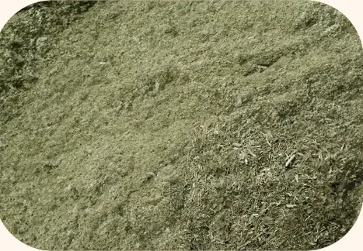 Close-up of ordinary commercial hay powder