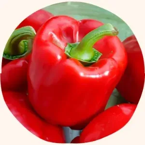 Carefully selected red bell pepper