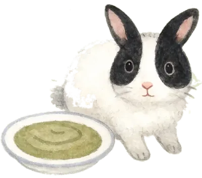 Watercolor illustration of a rabbit beside a bowl of hay powder puree
