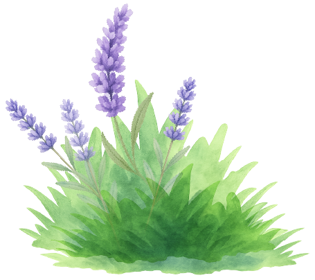Watercolor illustration of lavender and grass