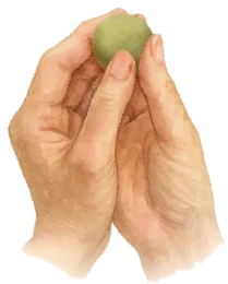 Hands rolling a ball of Bubble & Pea hay powder by hand