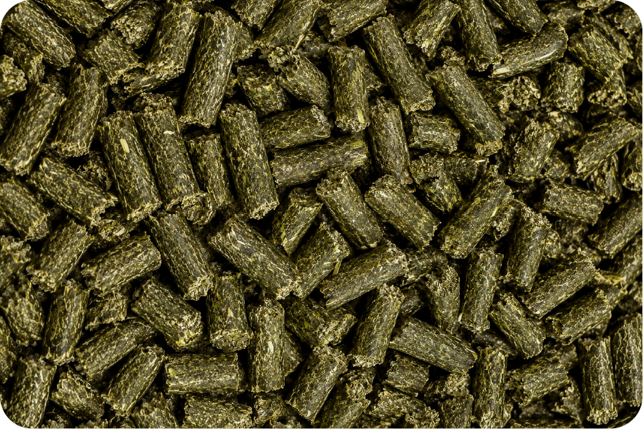 Uniform green rabbit pellets, all the same size and composition