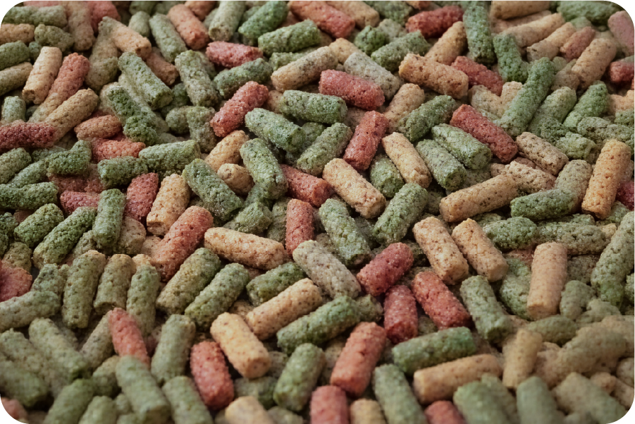 A colorful muesli-style rabbit mix containing flakes, grains and colored pieces