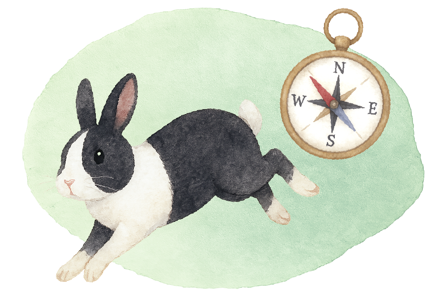 Watercolor illustration of a Dutch rabbit running