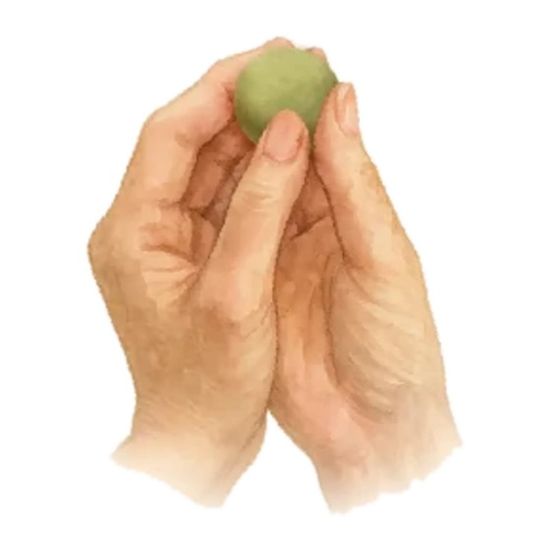 Hands shaping a hay powder mixture into a ball
