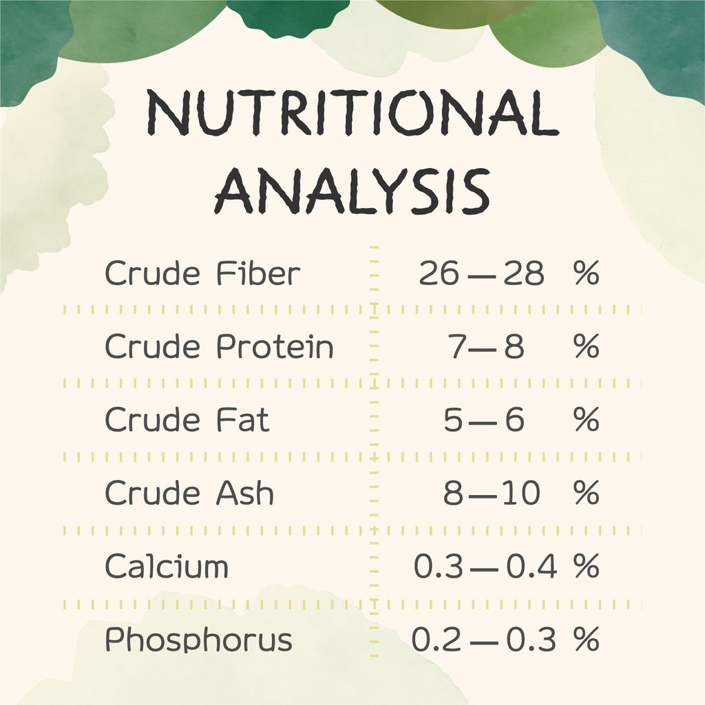 草粉營養-en-251101_皮膚毛髮