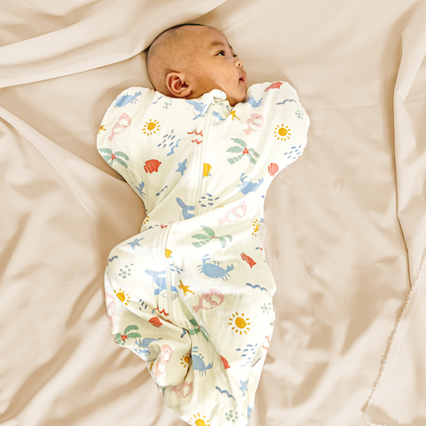 07P2F9eC652a986b97289_1697290347