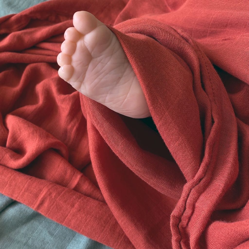 0o3ecISh63748541220b0_1668580673