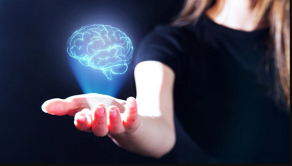 What Organs Coordinate with the Eye