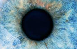 The Path of Light Through the Eye Best Optical Shop for Contact lenses online eyeball iris