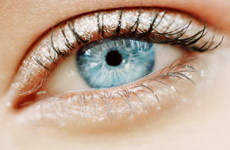 A Human Eye and a Camera Comparison eyes and camera best online shop optical shop contact lens eyes