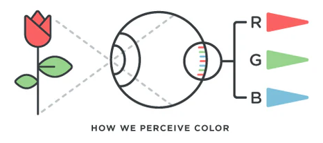 What is Color Blindness best optical shop near me contact lens light color transfers