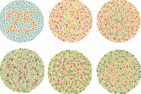 What is Color Blindness best optical shop near me contact lens eye examination for colors