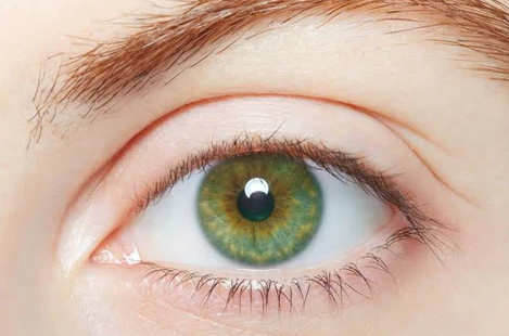 The most common eye color best optical retail online shop contact lens near me malaysia green eyes