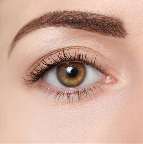 The most common eye color best optical retail online shop contact lens near me malaysia brown eyes