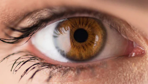 The most common eye color best optical retail online shop contact lens near me malaysia brown iris