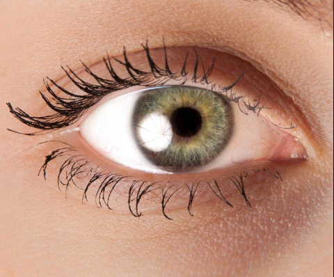 Your Eye shape and contact lens that suits best optical retail optometrist online shop contact lens eye balls green