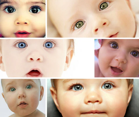 Baby's Eye Color best optical shop near me sale price online contact lens free shipping baby collage